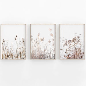 Botanical Print Set of 3, Dried Grass Print, Printable Art, INSTANT DOWNLOAD, Modern Minimalist Poster, Printable Wall Decor-g34