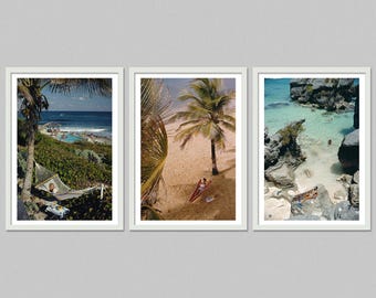 May include: A set of three framed beach scenes. One shows a hammock near the ocean, another a person sunbathing under a palm tree, and the third a view of a rocky beach with clear water.