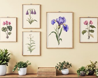 Neutral Botanical Print 11 Flower Bundle / Classical Art Print / Vintage Floral Gallery / Antique Rustic Instant Digital Download Printable