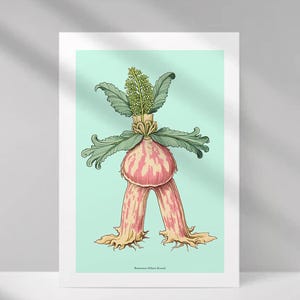 Può includere: Stampa di illustrazione botanica con una pianta stilizzata con un corpo bulboso a strisce rosa e bianche, foglie verdi e uno sfondo verde chiaro. L'opera d'arte è incorniciata in un bordo bianco.