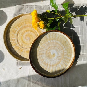 Handcrafted Ceramic Plates - Elegant Beige and Rich Brown Designs
