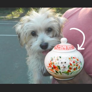 Custom Pet Urn, Custom Pet Portrait Urn, Handmade Ceramic Pet Ashes Keepsake, Custom Pottery Pet Memorial Gifts, Dog or Cat Urn