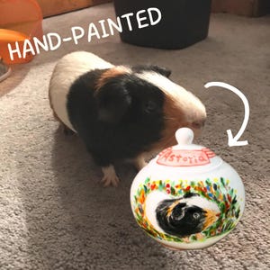 Urna pequeña personalizada para mascotas, recuerdo conmemorativo con retrato pintado a mano para hámsteres, cobayas y mascotas de bolsillo.