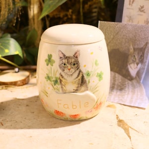 Puede incluir: Un tarro de cer&aacute;mica color crema con tapa a juego, que presenta una ilustraci&oacute;n pintada a mano de un gato atigrado rodeado de tr&eacute;boles verdes y peque&ntilde;as flores naranjas. La palabra Fable est&aacute; impresa en color marr&oacute;n claro sobre un gr&aacute;fico de nube.