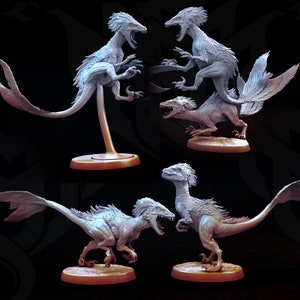 Feathered Raptors (5 Poses) 25mm Base | Miniature for Table Top Games | Resin 3D Printed Model | Dungeons & Dragons