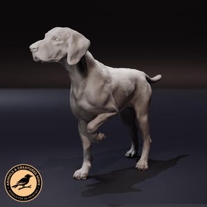 Op de afbeelding: Een 3D-geprint model van een Duitse Korthaar-hond die staat met een opgeheven poot. Het model is ongeverfd en heeft een gedetailleerd, realistisch uiterlijk.