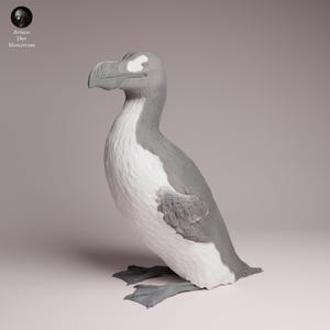 May include: A grey and white sculpture of a large bird, possibly a prehistoric species. The bird has a large beak, a long neck, and a white patch on its head. The sculpture is detailed and realistic, with textured feathers and a lifelike pose.