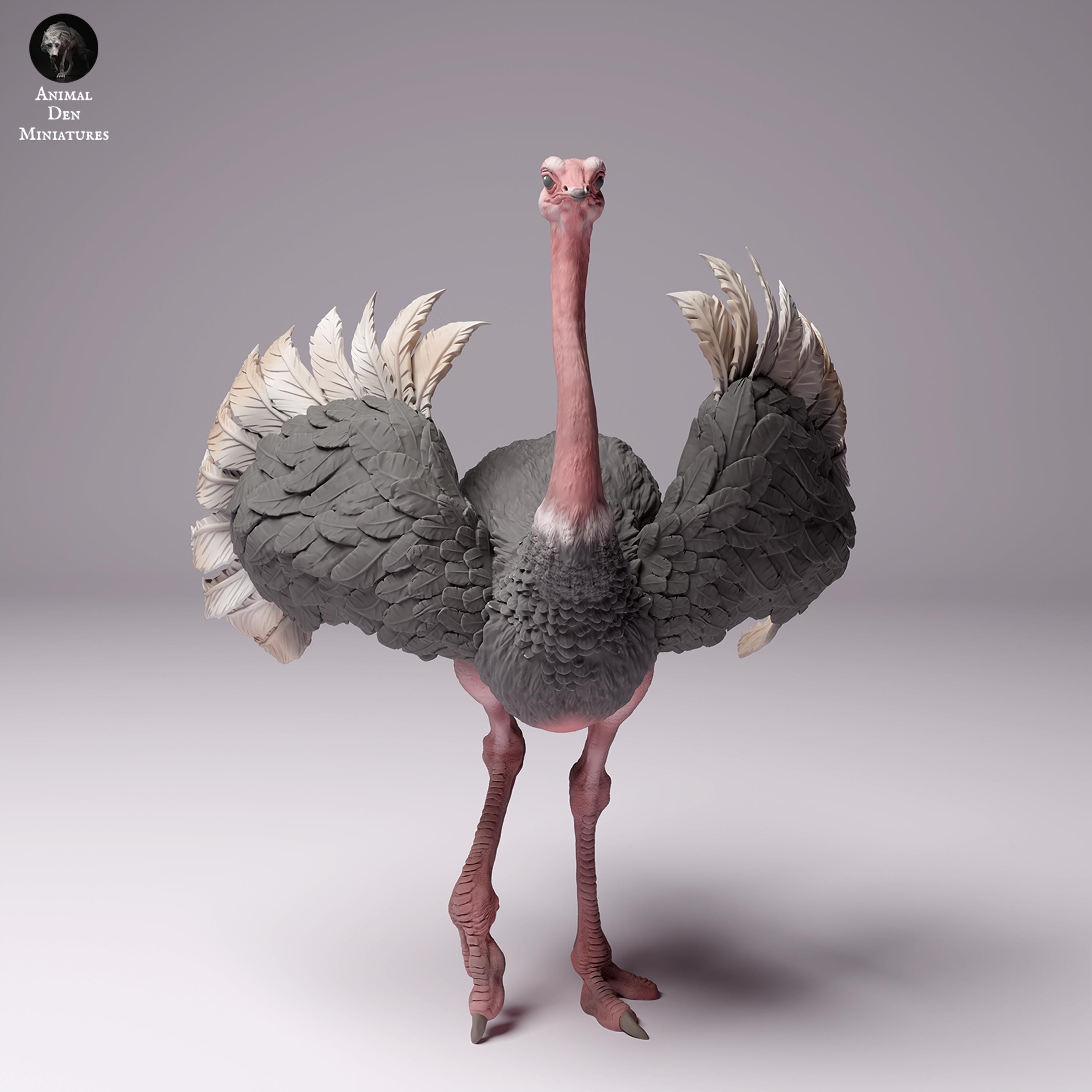 North African Ostrich 1/24 Scale Realistic Animal Model 3D Printed |Decorative Display Piece | Beast Companion Figurine|Animal Den Miniature