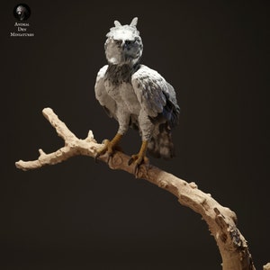 Harpy Eagle 1/24 Scale Realistic Animal Model 3D Printed | Decorative Display Piece | Beast Companion Figurine | Animal Den Miniatures