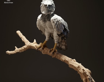 Può includere: Una scultura in miniatura dettagliata di un'aquila arpìa posata su un ramo. La scultura è dipinta in tonalità di grigio e bianco, con accenti gialli sulle zampe. L'aquila ha un'espressione feroce e guarda direttamente lo spettatore.
