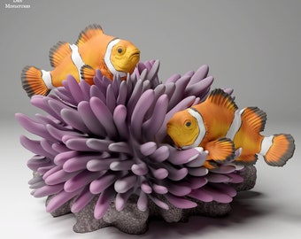 Clownfish 1/3 Scale Realistic Animal Model 3D Printed | Decorative Display Piece | Beast Companion Figurine | Animal Den Miniatures