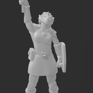 Female Dragonborn Cleric  Miniature for Table Top Games : Resin 3D Printed Model