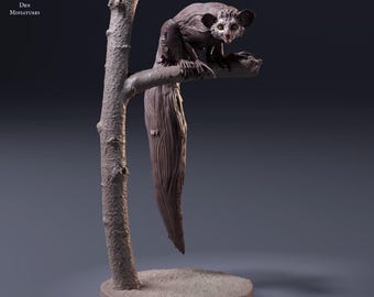 Aye Aye 1/8 Scale Realistic Animal Model 3D Printed | Decorative Display Piece | Beast Companion Figurine | Animal Den Miniatures