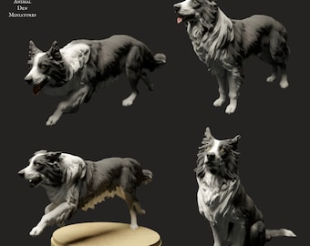 Border Collie 1/24 Scale Realistic Animal Model 3D Printed | Decorative Display Piece | Beast Companion Figurine | Animal Den Miniatures