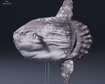 Ocean Sunfish 1/32 Scale Realistic Animal Model 3D Printed | Decorative Display Piece | Beast Companion Figurine | Animal Den Miniatures