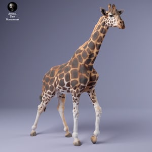 May include: A brown and white giraffe figurine with a long neck and legs. The giraffe is standing on a light purple background.
