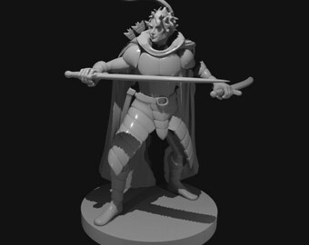 Human Two Sword Ranger Miniature for Table Top Games : Resin 3D Printed Model