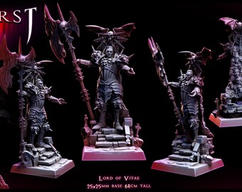 Lord of Vitae (2 Poses) 25mm Base | Miniature for Table Top Games | Resin 3D Printed Model | Dungeons & Dragons