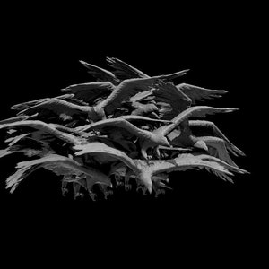Swarm of Ravens Miniature for Table Top Games : Resin 3D Printed Model