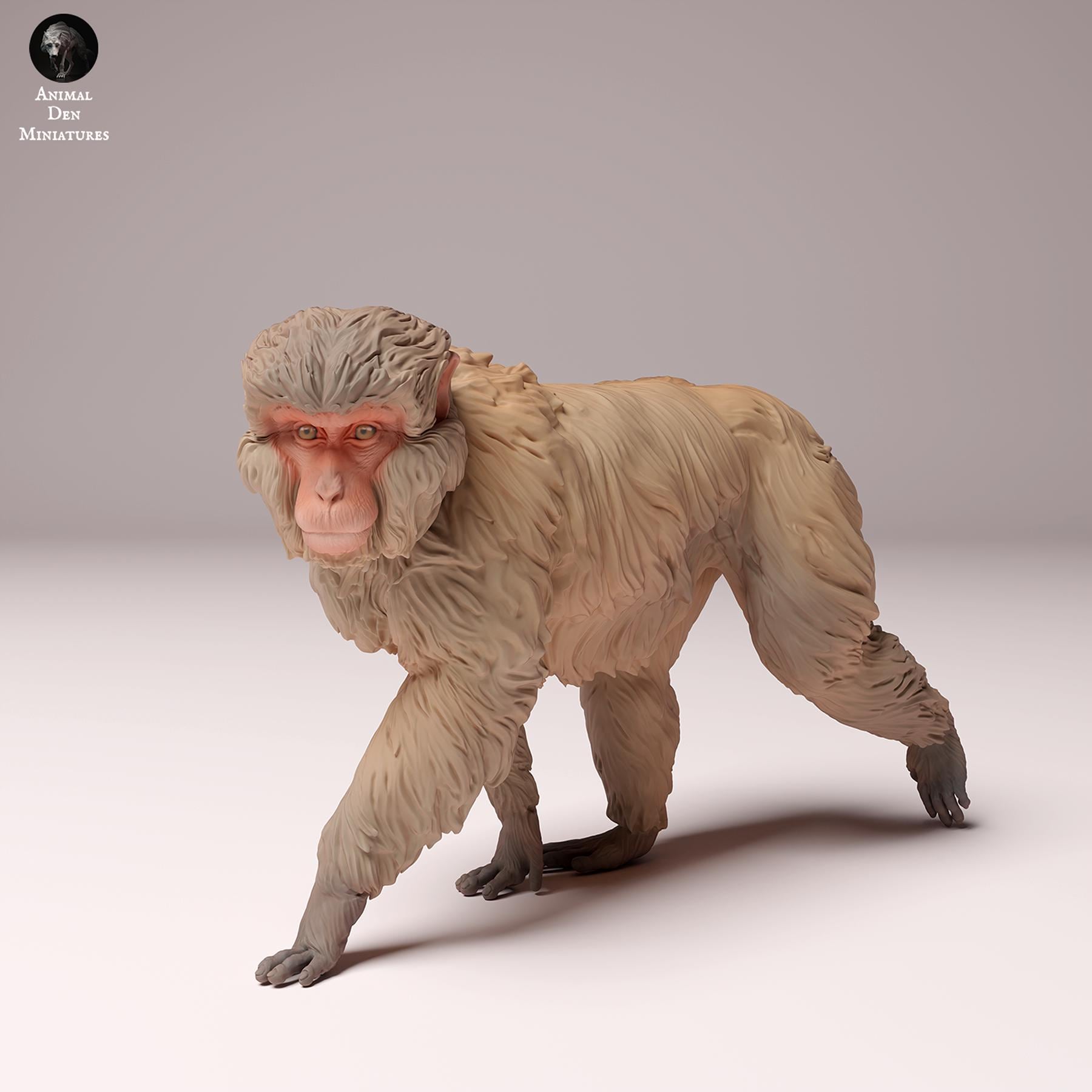 Japanese Macaque 1/8 Scale Realistic Animal Model 3D Printed