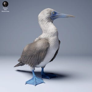 Blue Footed Booby 1/16 Scale Realistic Animal Model 3D Printed | Decorative Display Piece | Beast Companion Figurine | Animal Den Miniatures