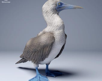 Blue Footed Booby 1/16 Scale Realistic Animal Model 3D Printed | Decorative Display Piece | Beast Companion Figurine | Animal Den Miniatures