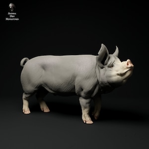 Berkshire Pig 1/24 Scale Realistic Animal Model 3D Printed | Decorative Display Piece | Beast Companion Figurine | Animal Den Miniatures