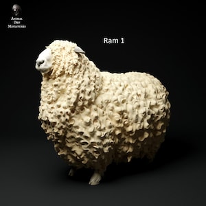 Devon & Cornwall Longwool Sheep 1/24 Scale Realistic Animal Model 3D Printed | Decorative Display Piece | Animal Den Miniatures