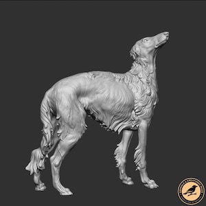 Barzoï 🐶 Tout savoir sur le chien Barzoï