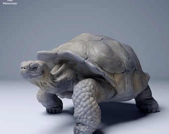 May include: A gray, detailed, 3D printed model of a tortoise. The tortoise is walking forward with its head raised and its legs outstretched. The model is made of a smooth, textured material.