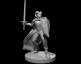 Tiefling Paladin 1 Miniature for Table Top Games : Resin 3D Printed Model