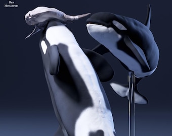 Orcas and Sunfish 1/76 Scale Realistic Animal Model 3D Printed | Decorative Display Piece | Beast Companion Figurine | Animal Den Miniatures