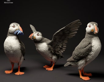 Atlantic Puffins 1/8 Scale Realistic Animal Model 3D Printed | Decorative Display Piece | Beast Companion Figurine | Animal Den Miniatures