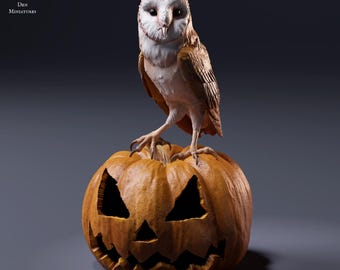 Barn Owl 1/8 Scale Realistic Animal Model 3D Printed | Decorative Display Piece | Beast Companion Figurine | Animal Den Miniatures