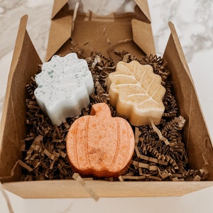 Fall/Autumn Soap Bundle (3 Pack) | Shea Butter Soap | Handmade Soap Set | Decorative Soap Set