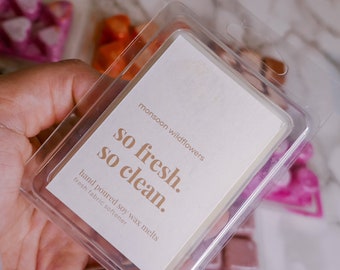 Scented Soy Wax Melt | Aromatherapy, Home Fragrance (2 Count)