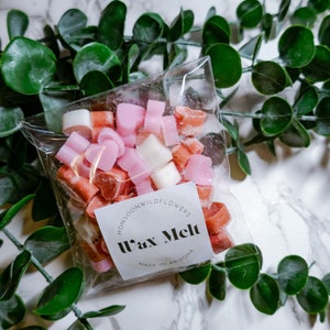 Herzförmige Wachsschmelze | Essen Thema Wachsschmelze | Dessertkerze | Wachsschmelzer für Stövchen | Starke Wachsschmelzen | Wax Melt Stövchen
