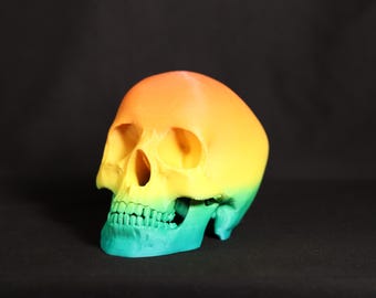 Gothic Skull Figurine: Detailed Model, Halloween Home Office Decor