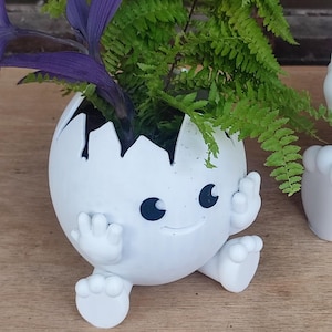 May include: A quirky white ceramic plant pot, resembling a cracked egg with a smiling face, arms, and feet. It's filled with green ferns and purple Wandering Jew plants. A unique decorative item for indoor plants, adding a touch of fun.