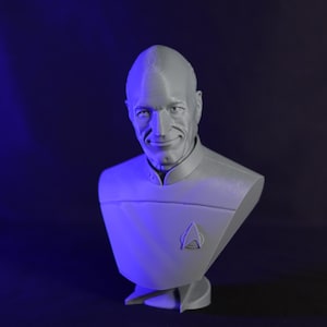 Captain Jean-Luc Picard Bust USS Enterprise Sculpture Star Trek Collectible Sci-Fi Decor Unique Gift