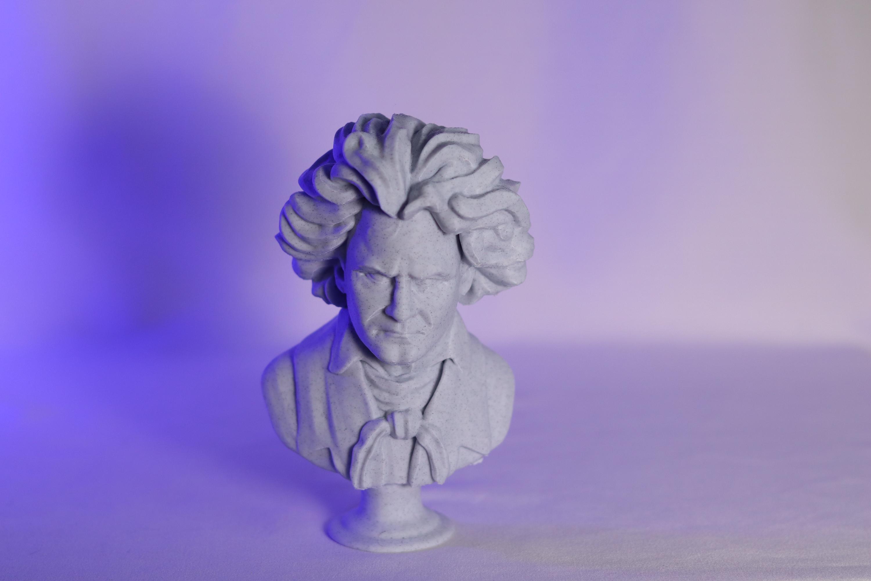 Large Beethoven Bust - Etsy