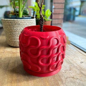 Puede incluir: Una maceta roja vibrante con un patrón arremolinado único. La maceta es cilíndrica con una base a juego. El diseño añade un toque moderno al recipiente, perfecto para plantas de interior. Otras plantas son visibles en el fondo.