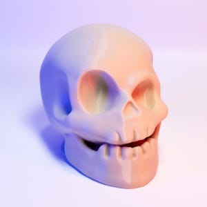 Skull Decoration Fun Halloween Decor Unique Skull Figurine Perfect for Spooky Home Decor Quirky Gift for Horror Fans Skeleton Decor