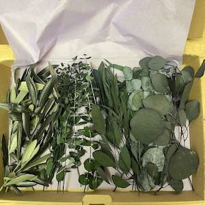 May include: A box filled with dried green leaves and branches. The leaves are a variety of shapes and sizes, and they are all a deep green color.