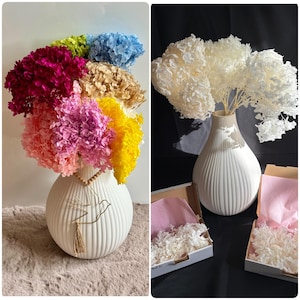 Konservierte, stabilisierte Hortensie „Anna“. 23 versch. Farben und Mengen, Trockenblumen, Hochzeit, Event