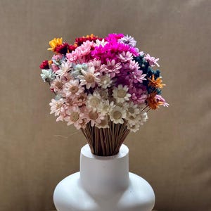 Könnte beinhalten: Ein farbenfroher Strauß Trockenblumen in einer weißen, bauchigen Vase. Die Blumen zeigen eine Vielzahl von Farben, darunter Rosa, Weiß, Orange und Lila. Die Vase hat ein modernes Design und ist ein stilvolles Wohnaccessoire.