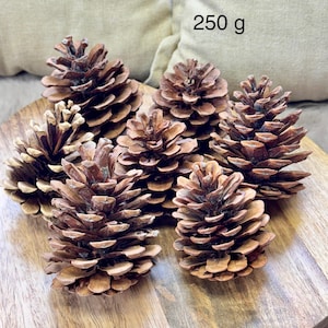 May include: A collection of brown pine cones arranged on a wooden cutting board. The image includes the text "250 g". The pine cones are a natural brown color and have a textured surface. The cones are a decorative item.