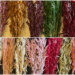 Könnte beinhalten: Eine Sammlung getrockneter Ziergrasstiele in verschiedenen Farben, darunter Grün, Lila, Braun, Burgunderrot und Gelb. Das Bild zeigt eine Vielzahl von Farbtönen, ideal für Blumenarrangements und Heimdekoration. Jedes Bündel hat eine einzigartige Farbe.