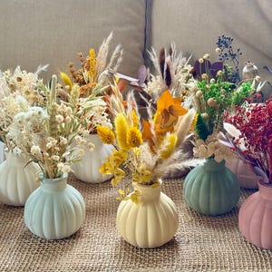 May include: A collection of small, round, ribbed ceramic vases in pastel colours including white, light blue, yellow, sage green, and dusty pink. Each vase contains a unique arrangement of dried flowers, grasses, and foliage in various natural tones.