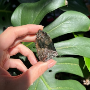 Chlorite phantom lodolite (garden quartz)